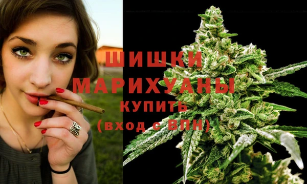 apvp Горнозаводск