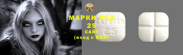 apvp Горнозаводск