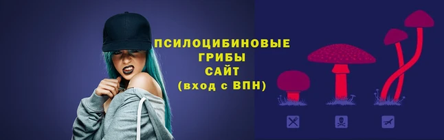 прущие грибы Горно-Алтайск