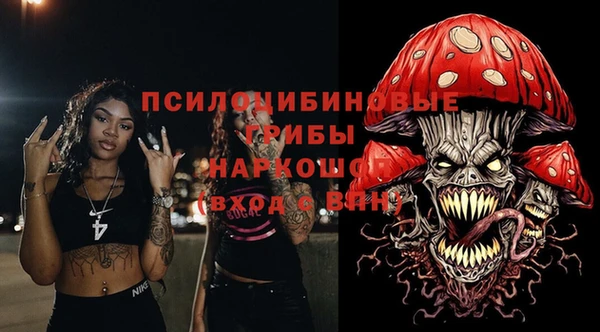 apvp Горнозаводск