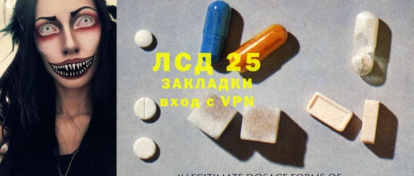 прущие грибы Горно-Алтайск