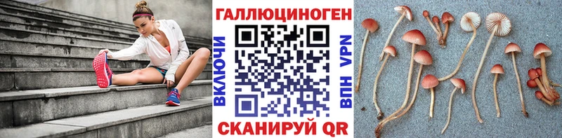 купить  цена  Дегтярск  блэк спрут ONION  Галлюциногенные грибы Magic Shrooms 